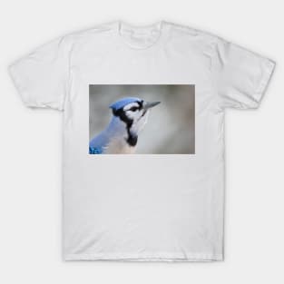 Blue jay closeup T-Shirt